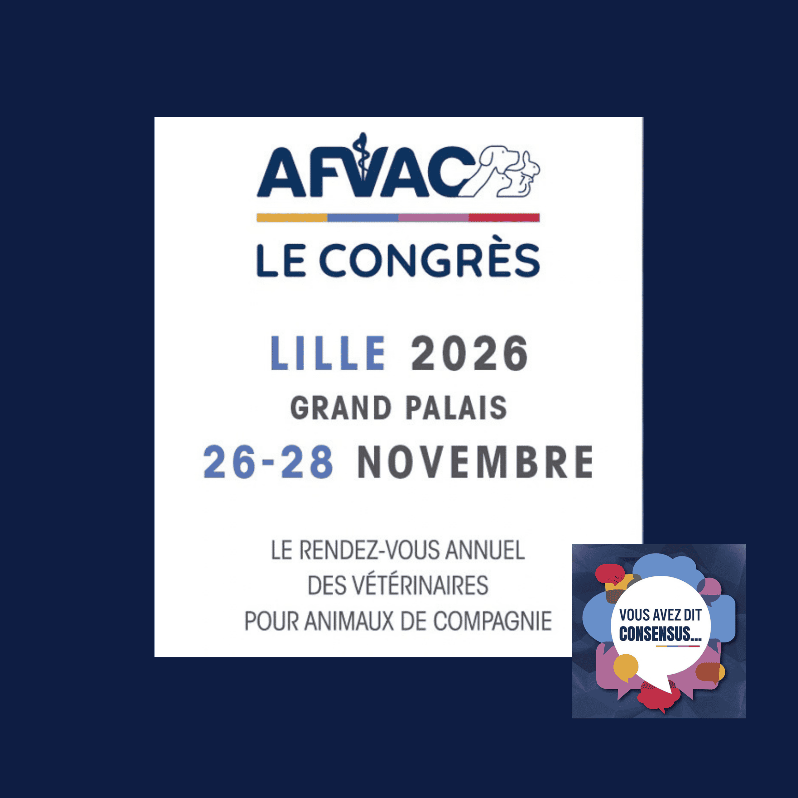 IMAGE MISE EN AVANT AFVAC