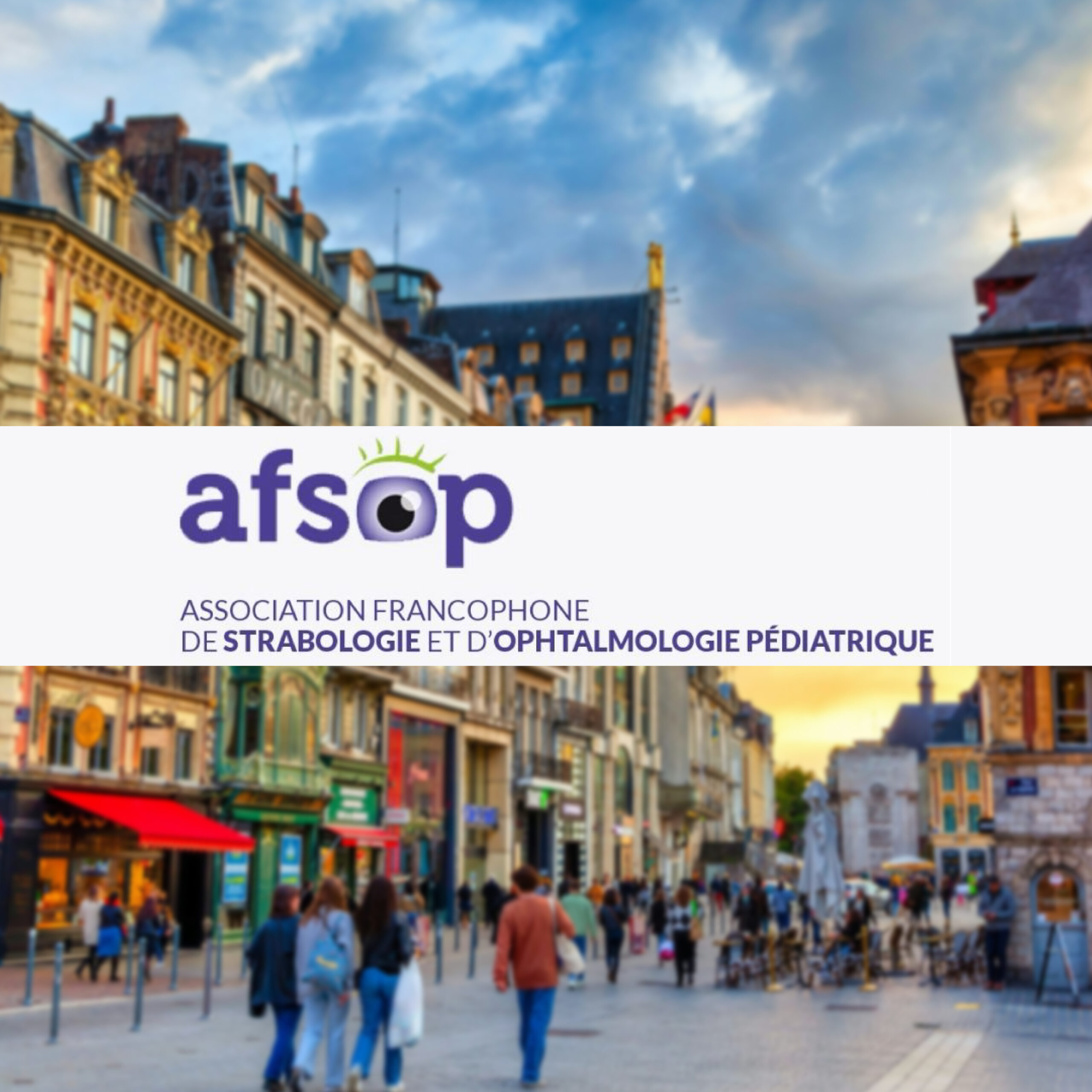 AFSOP 1080_Plan de travail 1