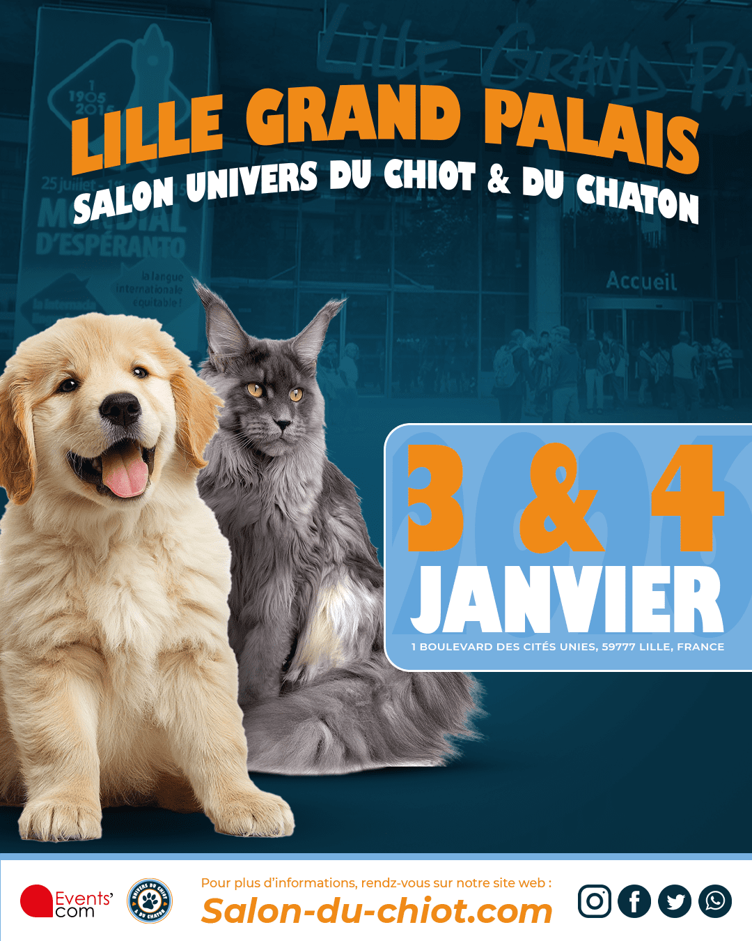 lille post nouvelle DA